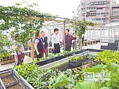 廚餘妙用　屋頂農場讚