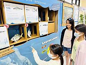 桃市圖草漯分館推「海洋系列活動」結合走讀、手作喚醒永續意識