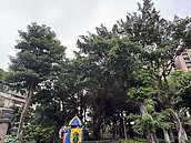 鄰里公園與道路防災經費告急？北市議員要求啟動二備金防災