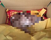 虎尾惡房客欠租落跑…滿屋垃圾一地水　還丟下發臭慘死寵物屍