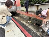 台中太平這2路段逢雨必淹惹民怨　何欣純現勘：三管齊下改善