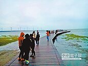 高美棧道完工　兼顧生態遊憩