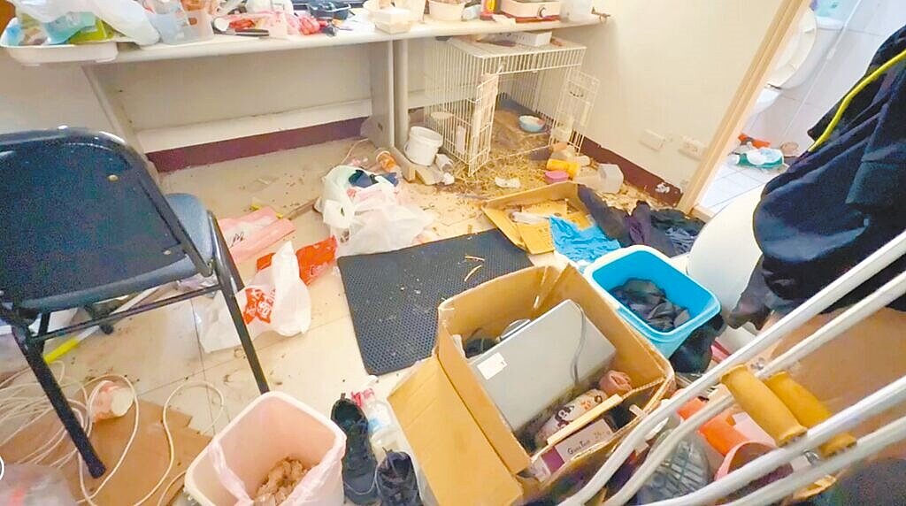 虎尾鎮一名女惡房客不滿房東不續租,竟破壞租屋處洩憤,還把兔子餓死讓房東處理。(民眾提供/周麗蘭雲林傳真)