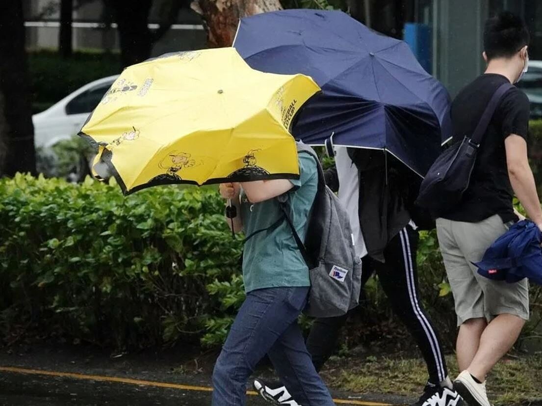 受薇帕颱風外圍環流影響,北市文山站與台北站今上午已有8級陣風出現。示意圖/聯合報系資料照