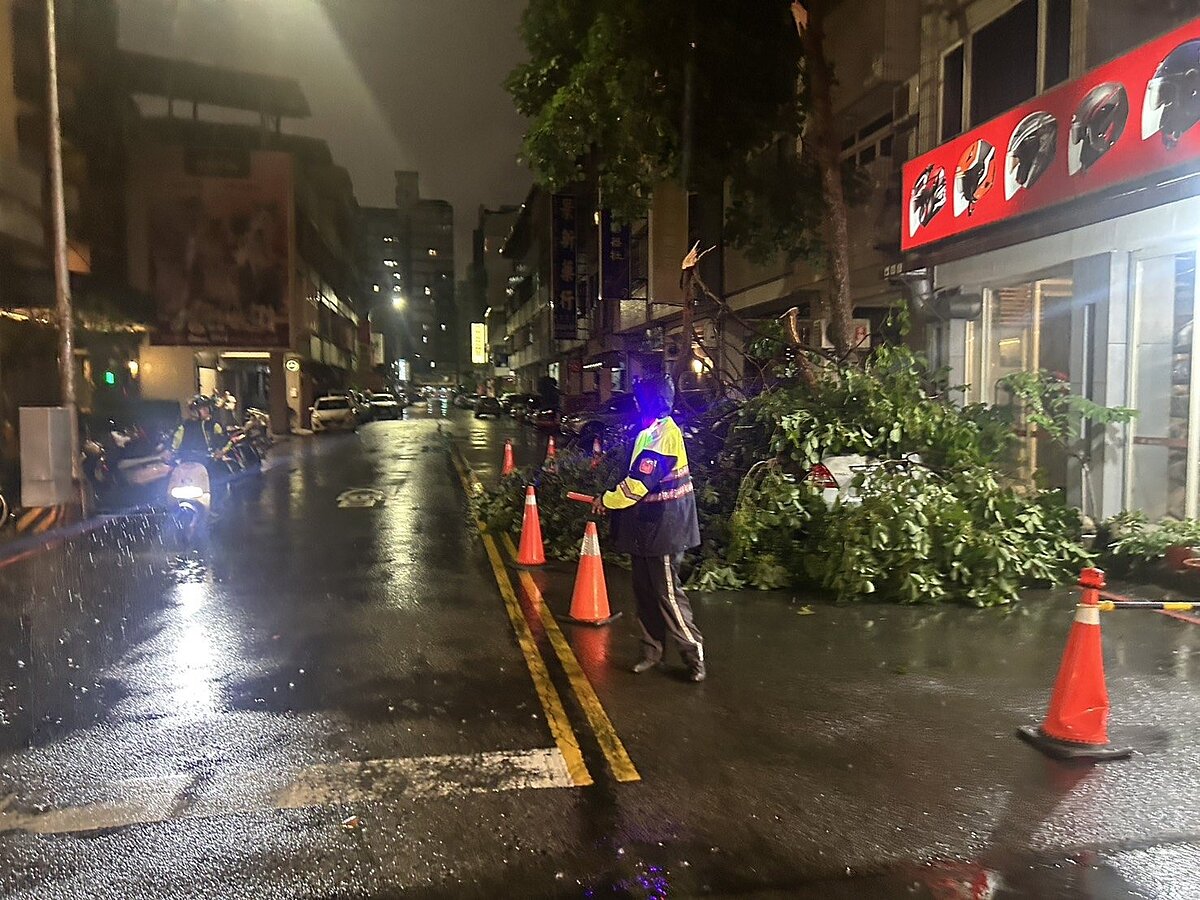 台中市下起大雷雨，南屯區東興路二段、大墩五街的一棵路樹倒塌，砸中一輛轎車。圖／記者陳宏睿翻攝
