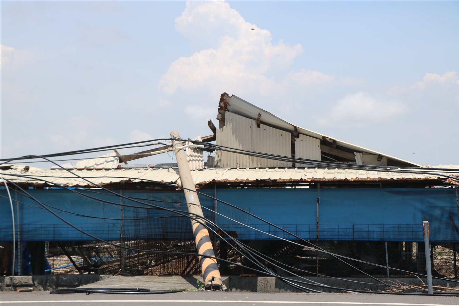 風災已過約10多天,倒塌的電線桿、電線迄今仍砸在七股龍山里一處雞舍鐵皮屋頂上,畫面相當驚悚。記者萬于甄/攝影