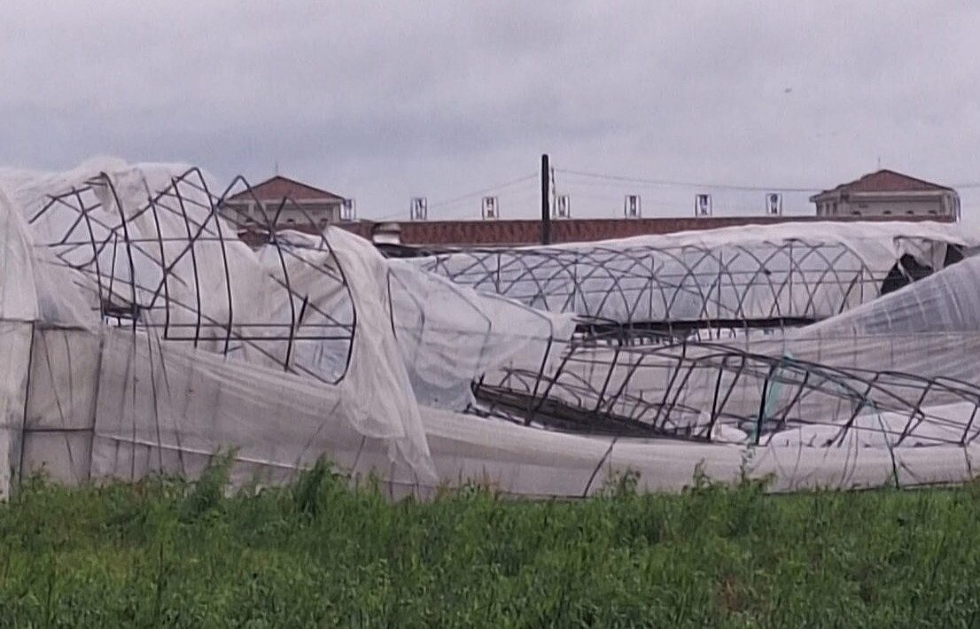 丹娜絲颱風造成嘉義縣許多農業溫網室設施損毀最嚴重,有農民要重建,卻傳出不肖廠商涉騙取工程款訂金。記者魯永明/翻攝