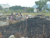 上山掃墓務必注意防火　舉發違法獎金最高百萬