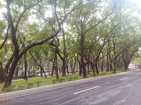 4擁有林蔭大道的仁愛路三段,街道寬敞、綠意盎然。