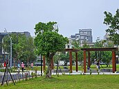 竹科媽媽繼承公設保留地　沒使用卻每年繳1.8萬地價稅？稅務局：忘做「這事」