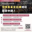 農業部啟動颱風受災畜牧專案輔導　畜禽舍每場最高補助500萬