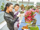 月杜鵑暨牡丹花季展　5月盛會