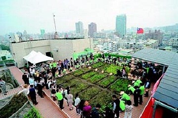 高雄市工務局鼓勵民眾闢建綠屋頂,在屋頂種菜。(記者謝梅芬/攝影)