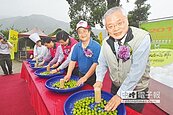 南投梅子節　酸酸甜甜到四月