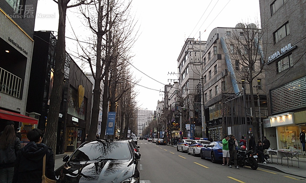 首爾江南地區的新設 的林蔭大道 (好房News記者林美欣攝影)