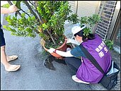 暑假出國夯！桃園衛生局提醒加強防蚊措施　預防登革熱