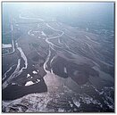 大安溪河床高過平地　潰堤將不堪設想