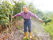 占地蓋堤40年　農民告縣府