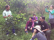 咖啡公路　西拉雅推「175小旅行」