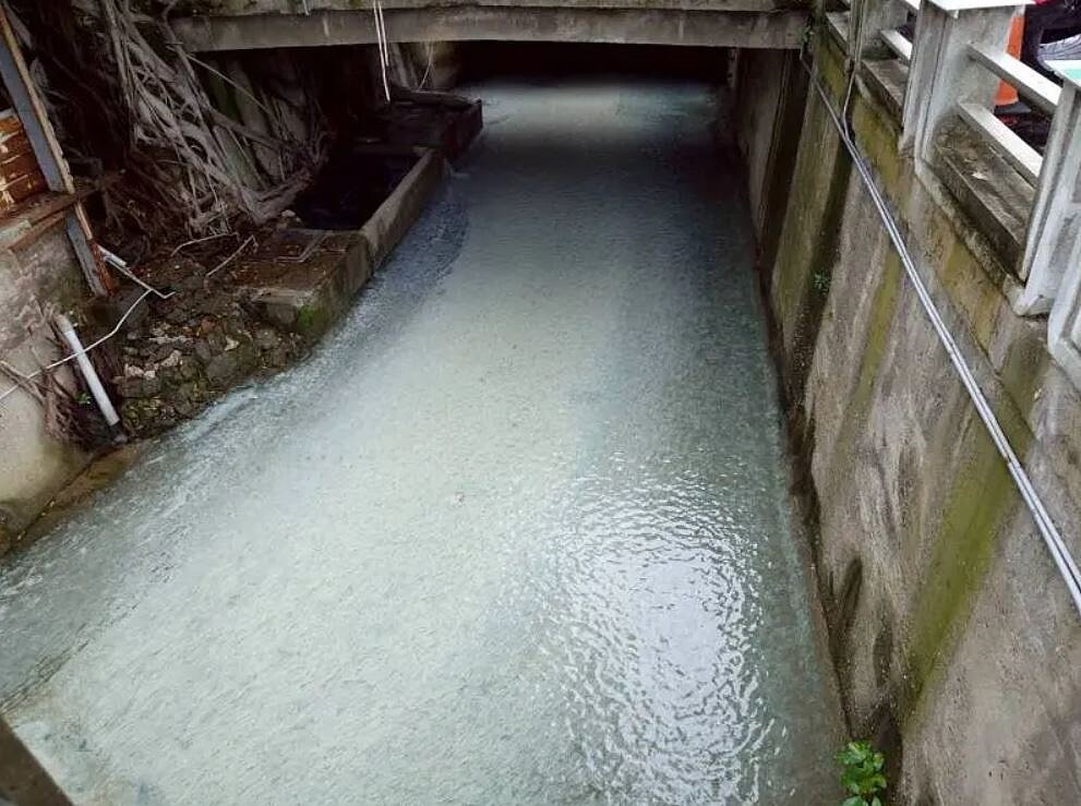 高雄柴山在幾批強降雨後出現硫化湧泉,居民俗稱的「水泉花」再現,在地團體觀察發現今年現象特別明顯。圖/高雄市柴山會提供