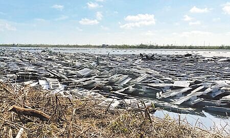 丹娜絲颱風過境後,光電板去化引起關注。圖為嘉義沿海滯洪池光電案場。(本報資料照片)