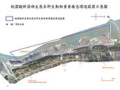 全面保護藻礁　林務局評估自然保留區