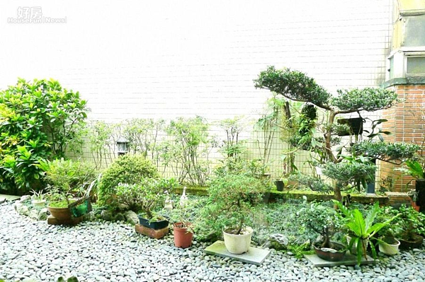 4.庭院中花草扶疏、綠意盎然。