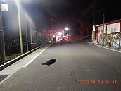 流浪狗跑到他家...七旬翁善心餵牠半年卻鬧出人命「有刑責」