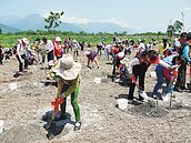 花縣打造黃金林　相約明春看花