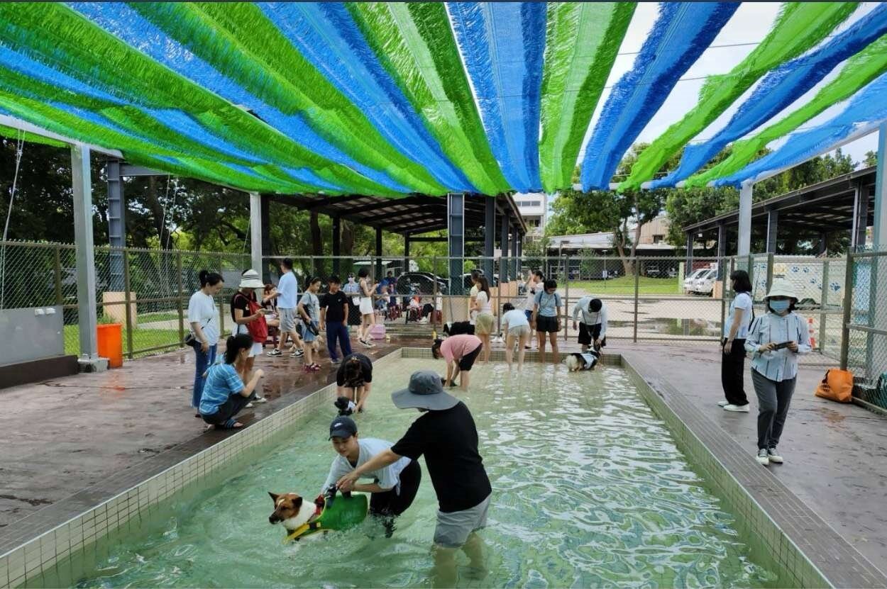 水中運動可降低關節負擔,促進犬隻肌肉鍛鍊,特別適合年長犬隻或術後恢復中的毛孩。圖:動保處提供