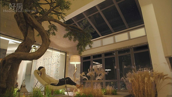 10.都敏俊在客廳也種植花草象徵著地球自然之美。(緯來戲劇台提供)