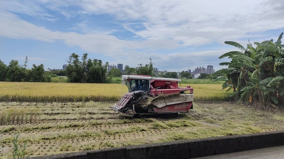 新竹市環保局表示,所剷除含汞稻米及稻梗皆進竹市焚化爐銷毀,均無流入供應鏈,請民眾無須擔心。圖/新竹市政府提供