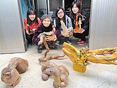 漂流木雕動物　8旬素人嬤辦展