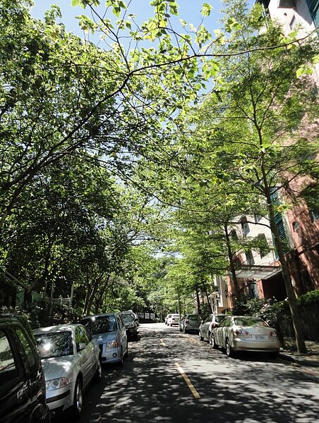 政大一街靠山邊宅，位政大附中學區。