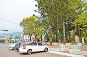 南投埔里鎮民　拒移老樹建停車場