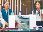 避屢淪水鄉　台南道路擬增水孔