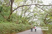 整頓十八尖山　增設200停車格