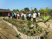 林管處社區綠美化補助　建構社區綠色生活環境