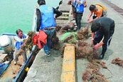宜蘭淨海　清出一堆廢棄漁網