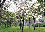 新竹市東區／清大生活圈　文教綠意好住宅