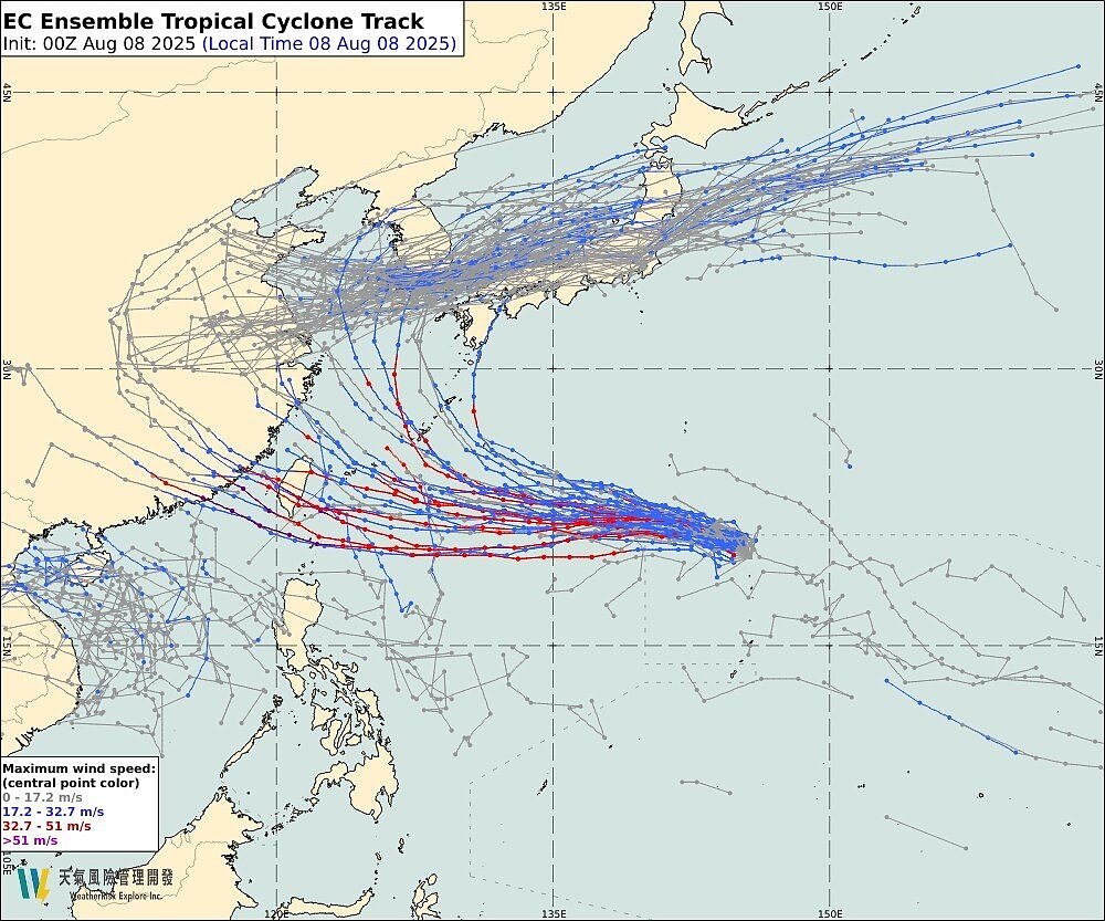 楊柳颱風預報仍然很分歧。ECMWF系集預報。圖/取自「天氣風險 WeatherRisk」臉書粉專