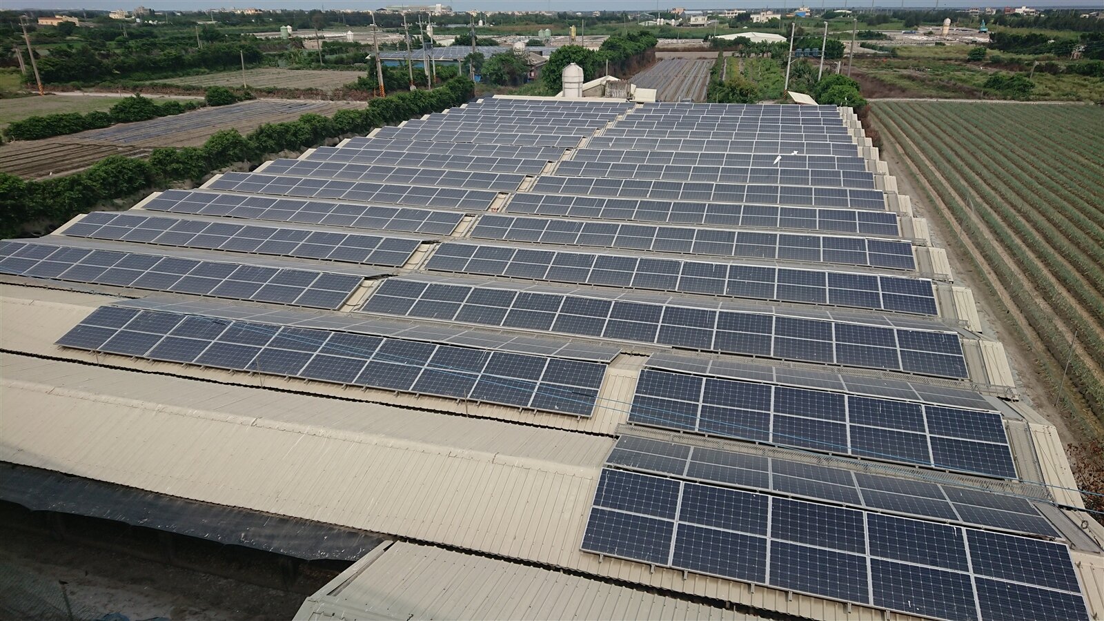 彰化縣芳苑鄉和大城鄉的鄉間常可見到大面積太陽能光電板。記者簡慧珍／攝影 