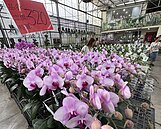 美對台關稅疊加震撼彈　工商界提4大訴求