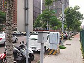 行道樹悲歌　燈飾纏繞一年未拆