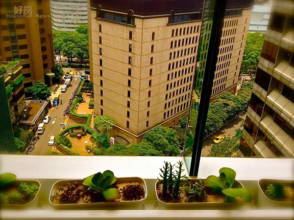 郭蘅祈巧妙地讓綠意分散家中各角落,心曠神怡創作好音樂。