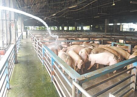 國內毛豬嚴重短缺,宜蘭肉品市場調度陷入困境,宜蘭縣家畜肉類商業同業公會10日緊急宣布,全縣近200家傳統市場豬肉攤商本周「周休4天」,只在周三、六、日營業。(吳佩蓉攝)