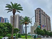 新青安上路後…林口預售屋漲到6字頭　「租屋能住更大」案件暴增154％