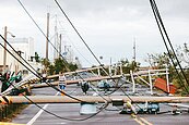 颱風釀大停電　卓揆：評估全國電纜地下化