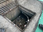 竹市環保獎金新制　違規被抓到最高罰6千...檢舉人可領3成