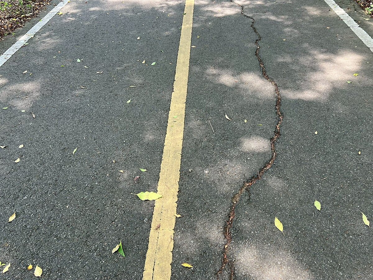 台中市議員周永鴻說,台中市審計處提出報告,指出休閒自行車道因樹木浮根造成路面破損等問題。圖/台中市議員周永鴻提供